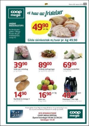 opp-20140228_000_00_00_009.pdf