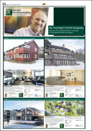 opp-20140228_000_00_00_012.pdf