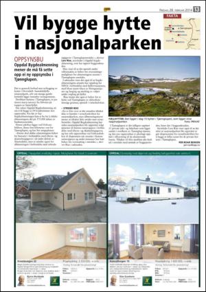 opp-20140228_000_00_00_013.pdf