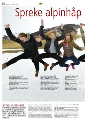 opp-20140314_000_00_00_020.pdf