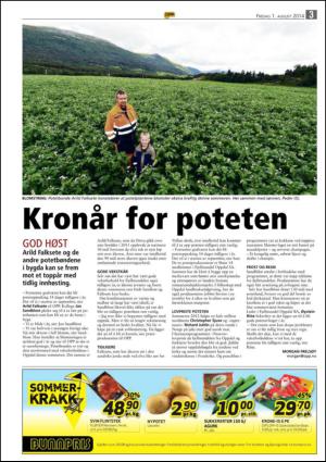 opp-20140801_000_00_00_003.pdf