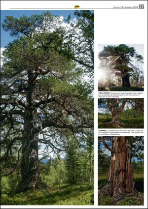 opp-20141224_000_00_00_027.pdf