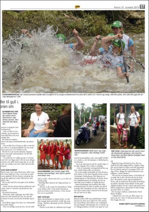 opp-20151231_000_00_00_017.pdf