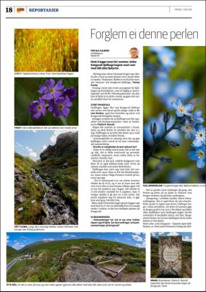 opp-20160603_000_00_00_018.pdf