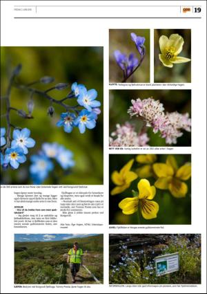 opp-20160603_000_00_00_019.pdf