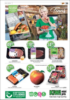 opp-20160603_000_00_00_023.pdf