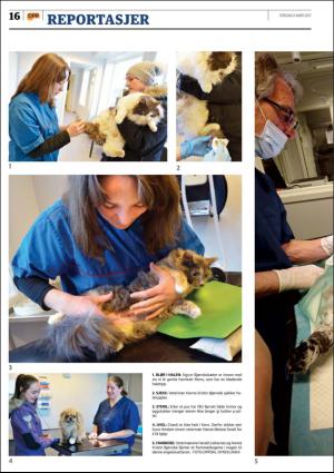 opp-20170309_000_00_00_016.pdf