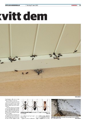 opplandarbeiderblad-20250327_000_00_00_023.pdf