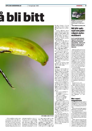 opplandarbeiderblad-20250606_000_00_00_017.pdf