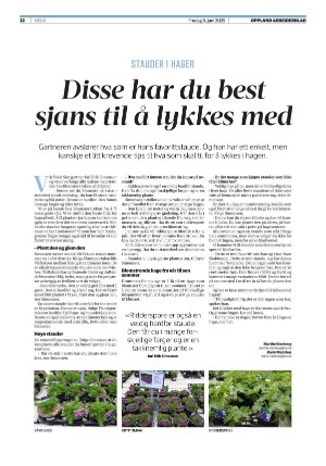 opplandarbeiderblad-20250606_000_00_00_032.pdf