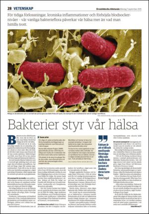 ornskoldsviksallehanda-20150907_000_00_00_028.pdf