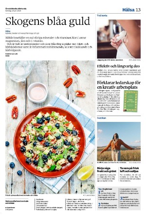 ornskoldsviksallehanda-20240714_000_00_00_013.pdf