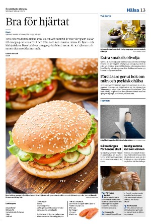ornskoldsviksallehanda-20250202_000_00_00_013.pdf