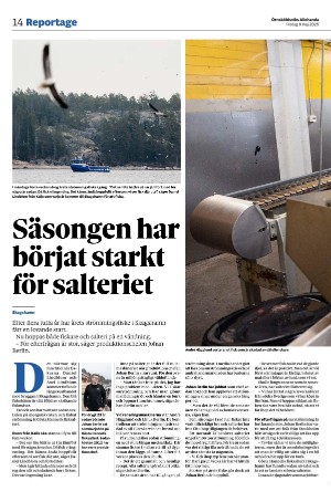 ornskoldsviksallehanda-20250509_000_00_00_014.pdf