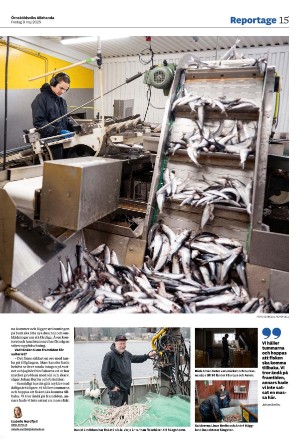 ornskoldsviksallehanda-20250509_000_00_00_015.pdf