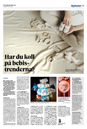 ornskoldsviksallehanda-20250524_000_00_00_009.pdf