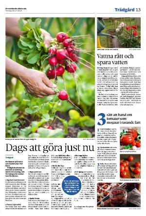 ornskoldsviksallehanda-20250626_000_00_00_013.pdf