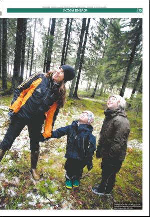 ornskoldsviksallehanda_d-20121114_000_00_00_015.pdf