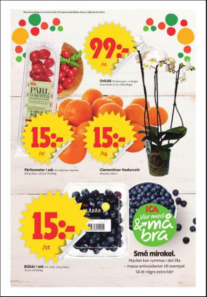ornskoldsviksallehanda_d-20160329_000_00_00_009.pdf