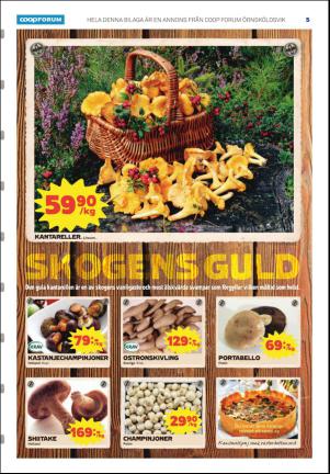 ornskoldsviksallehanda_d-20160929_000_00_00_005.pdf