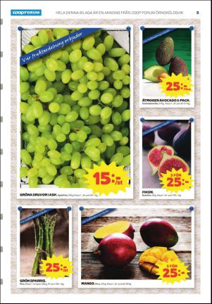 ornskoldsviksallehanda_d-20170223_000_00_00_005.pdf