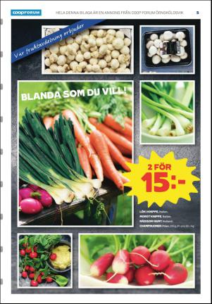 ornskoldsviksallehanda_d-20170427_000_00_00_005.pdf