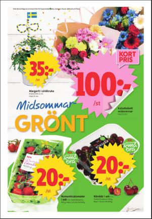 ornskoldsviksallehanda_d-20170619_000_00_00_008.pdf