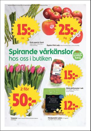 ornskoldsviksallehanda_d-20180416_000_00_00_006.pdf