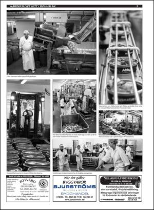 orusttjorntidningen_naring-20130410_000_00_00_005.pdf