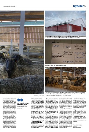 ostersundsposten-20260115_000_00_00_005.pdf