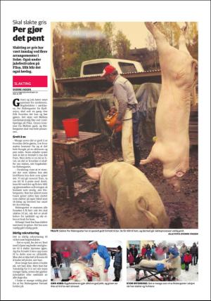 ostlendingen_bil-20151210_000_00_00_008.pdf