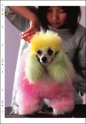 ostlendingen_mag-20060401_000_00_00_026.pdf