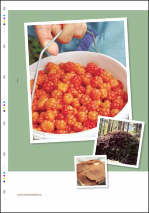 ostlendingen_mag-20070915_000_00_00_010.pdf