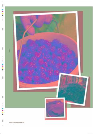 ostlendingen_mag-20071020_000_00_00_010.pdf