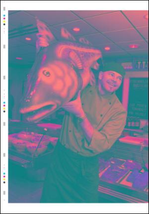 ostlendingen_mag-20071208_000_00_00_020.pdf