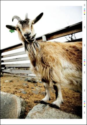 ostlendingen_mag-20080628_000_00_00_011.pdf