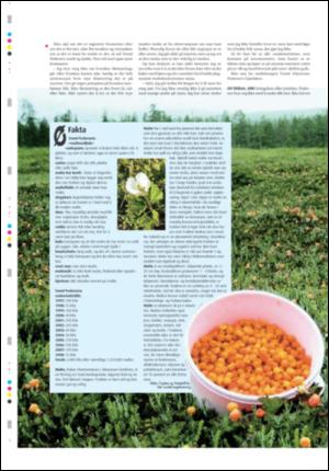 ostlendingen_mag-20080816_000_00_00_008.pdf