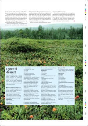 ostlendingen_mag-20080816_000_00_00_009.pdf