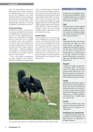 petscandinavia-20160315_001_00_00_034.pdf