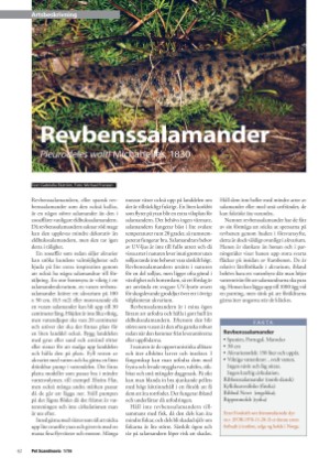 petscandinavia-20160315_001_00_00_042.pdf