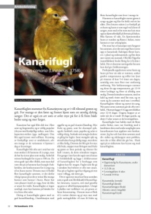 petscandinavia-20160615_002_00_00_030.pdf