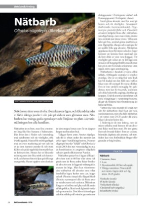 petscandinavia-20160615_002_00_00_038.pdf