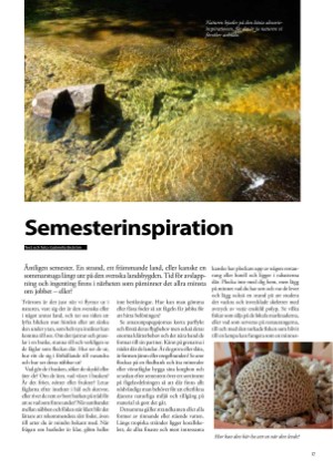 petscandinavia-20160915_003_00_00_017.pdf