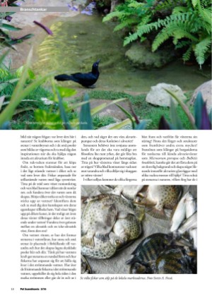 petscandinavia-20160915_003_00_00_018.pdf