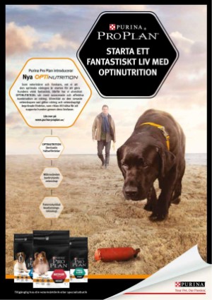 petscandinavia-20160915_003_00_00_027.pdf