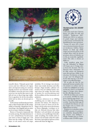 petscandinavia-20160915_003_00_00_034.pdf