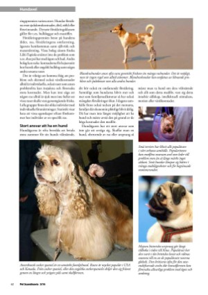 petscandinavia-20160915_003_00_00_040.pdf