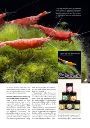 petscandinavia-20161215_004_00_00_005.pdf