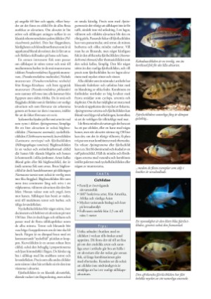 petscandinavia-20161215_004_00_00_035.pdf
