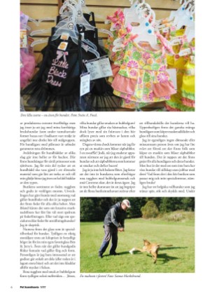 petscandinavia-20170315_001_00_00_006.pdf